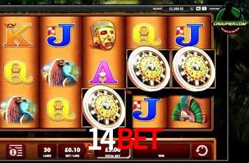 A Experiência Imersiva dos Cassinos Ao Vivo no 14bet