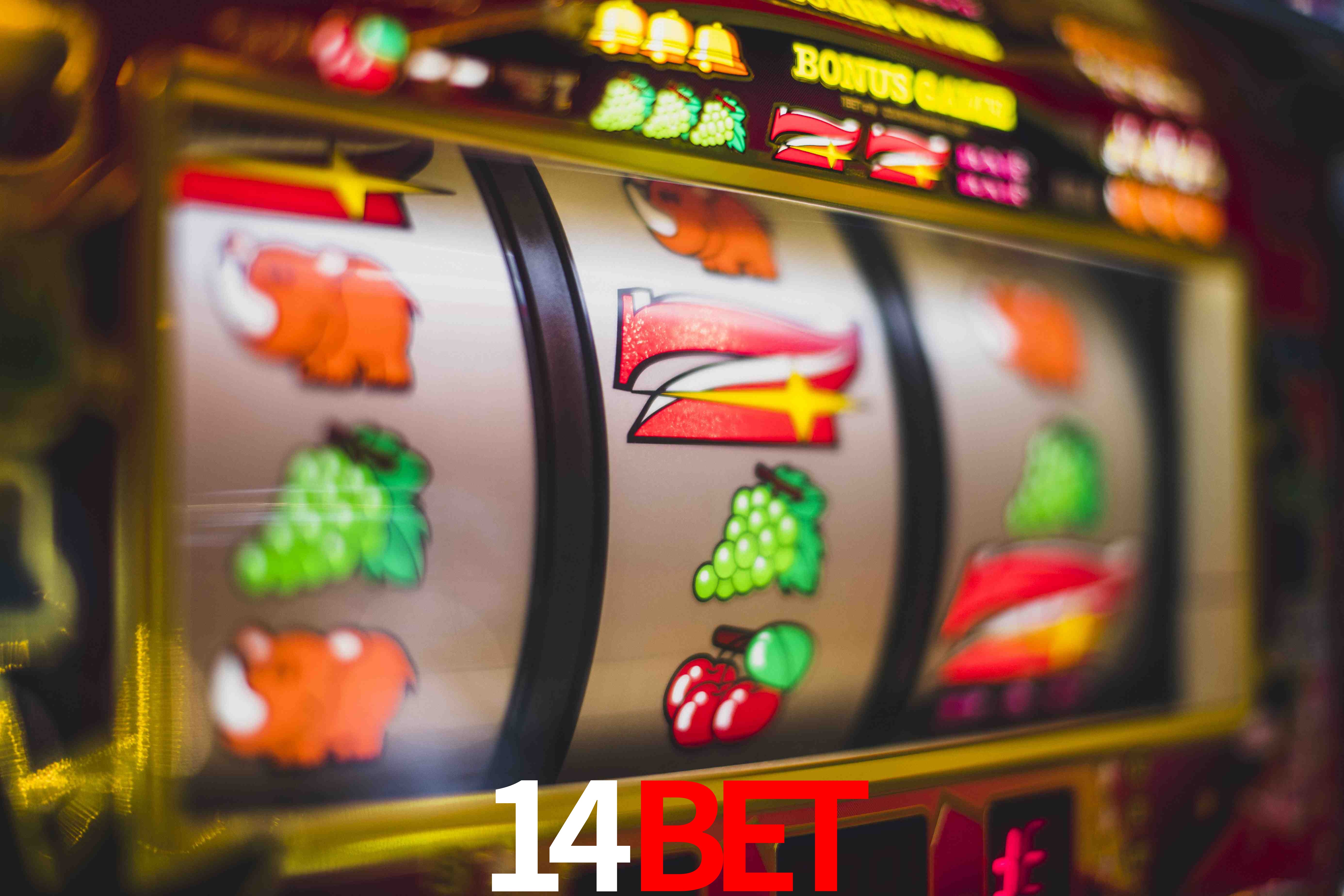 Basketball Betting 14bet